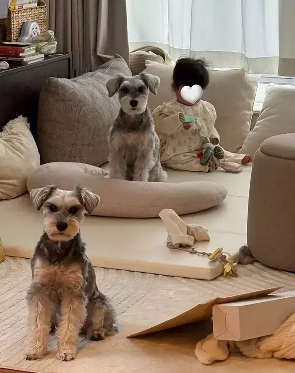 「あなたたちのじゃないんですけど」　離乳食を準備中、赤ちゃんの隣で？