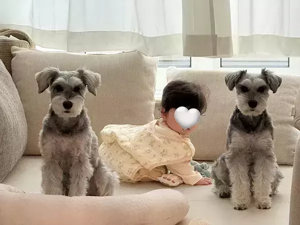 「あなたたちのじゃないんですけど」　離乳食を準備中、赤ちゃんの隣で？