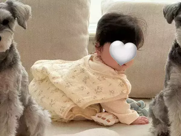 「あなたたちのじゃないんですけど」　離乳食を準備中、赤ちゃんの隣で？