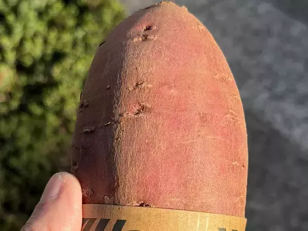 「新作かと思った」　サツマイモにつけたのは？「目からウロコ」「じわじわくる」