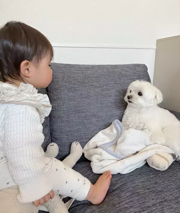 1歳娘が見つめ合っていた相手とは　『会話してたっぽい光景』に「かわいすぎて涙が出てきた」「尊い」