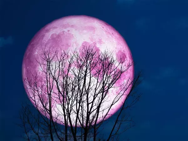 年に一度の『ピンクムーン』がついに！　春に訪れる特別な満月が見られる日は？