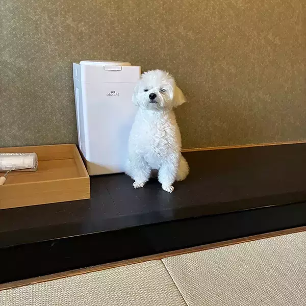 旅行から帰る日、犬が見せた顔が…？　「よっぽど楽しかったんだね」「完全になりきってる」