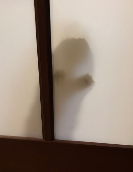 ヤマトの配達員は気づいていた　玄関での違和感に「気の利いたツッコミ」