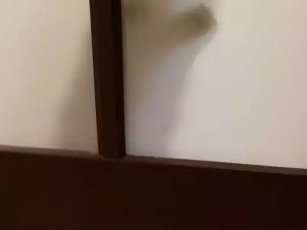 ヤマトの配達員は気づいていた　玄関での違和感に「気の利いたツッコミ」