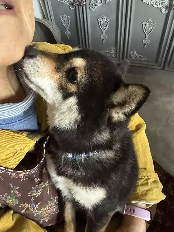 人間を怖がる保護犬、なぜか高齢の母親だけ平気で…？　触れ合う様子に「胸がいっぱい」「目が物語っているね」