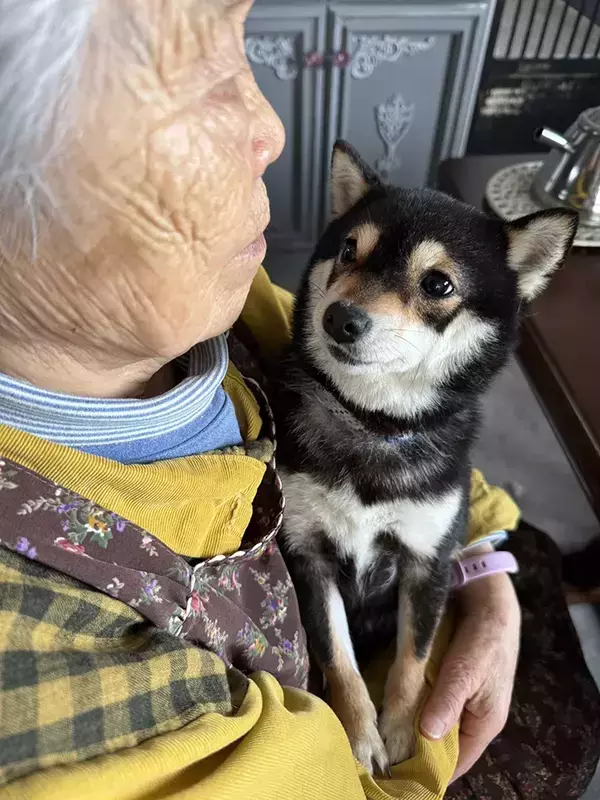 人間を怖がる保護犬、なぜか高齢の母親だけ平気で…？　触れ合う様子に「胸がいっぱい」「目が物語っているね」