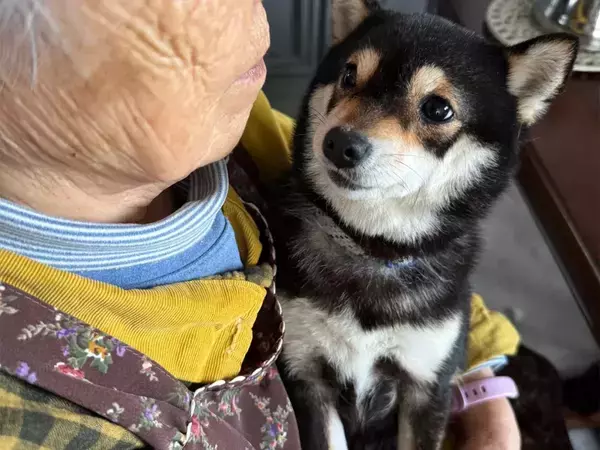 人間を怖がる保護犬、なぜか高齢の母親だけ平気で…？　触れ合う様子に「胸がいっぱい」「目が物語っているね」