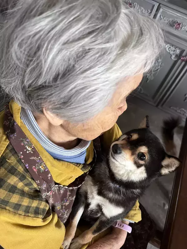 人間を怖がる保護犬、なぜか高齢の母親だけ平気で…？　触れ合う様子に「胸がいっぱい」「目が物語っているね」