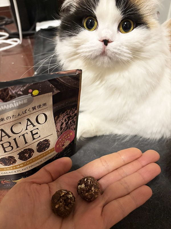 愛猫に『ドン引き』されてしまった飼い主　まさかの原因に「そりゃ引くわ」「なんて不名誉な勘違い」