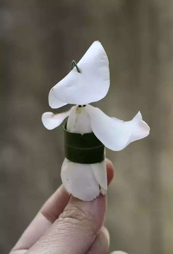 落ちていたツバキの花を使って…　できたものに「発想がすごすぎる」「なんて粋な作品」