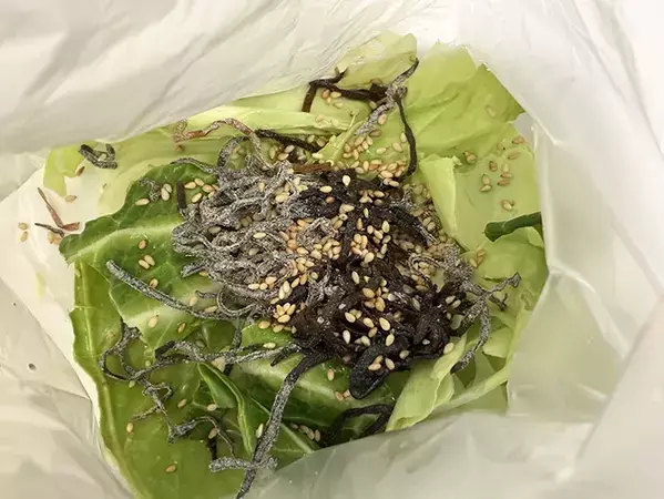 キャベツと塩昆布を『袋』に入れて完成！　春にピッタリな絶品メニュー【レシピ】