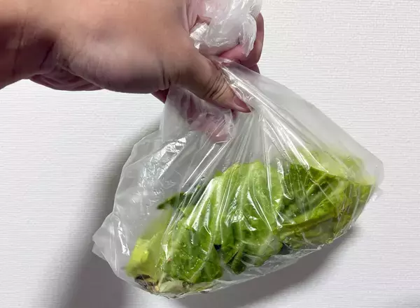 キャベツと塩昆布を『袋』に入れて完成！　春にピッタリな絶品メニュー【レシピ】