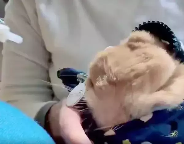 『お薬キャンセル界隈』のウサギ　華麗な回避術に「かわいすぎる」「最後まで偉い」