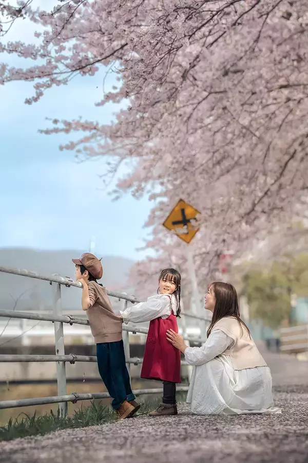満開の桜の下、4年前と同じポーズで写真を撮ると…2枚に「かわいくて泣ける」「素敵な写真」