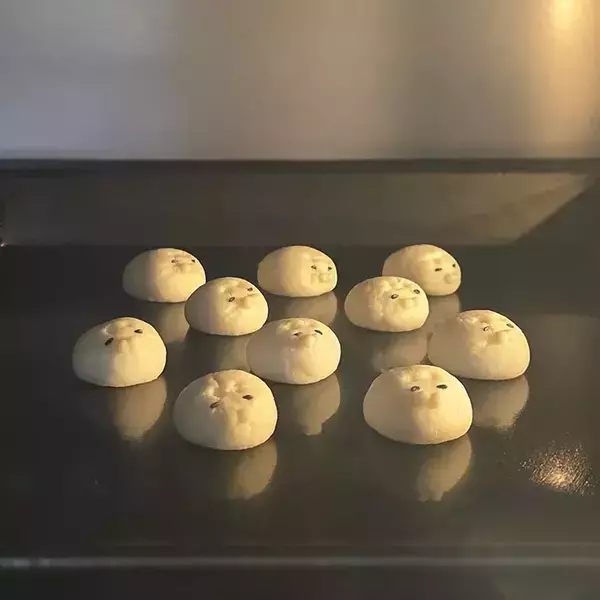 かわいらしい『アザラシ』のクッキー　オーブンで焼くと？「笑った」「これはこれで好き」