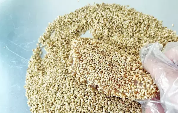 鶏むね肉350gがごちそうに！　白ゴマ70gで作る『香ばしい揚げ焼き』に「家族が大好きになった」