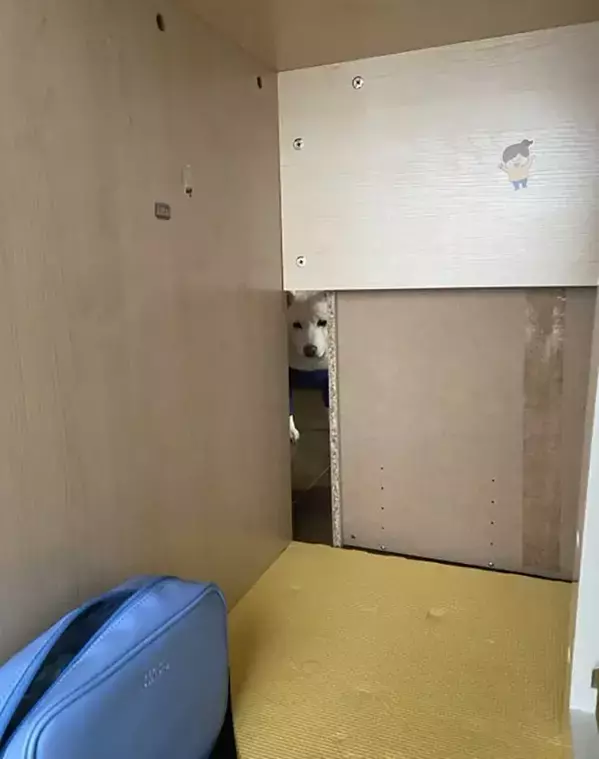 机の下にもぐって勉強する子供　すると現れたのは？「めっちゃ見てる」「笑った」