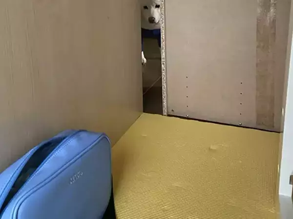 机の下にもぐって勉強する子供　すると現れたのは？「めっちゃ見てる」「笑った」