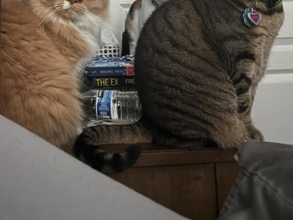 うっかり寝坊した飼い主　飛び込んできた光景に「なんて表情豊か」「失望してる」