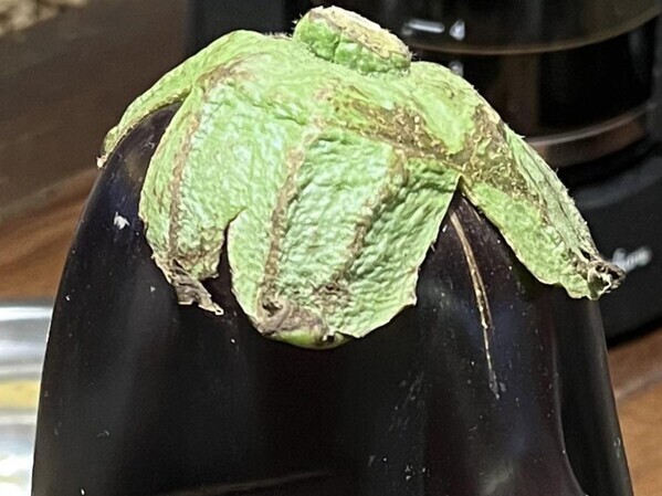 ナスがまるで天狗！？　その姿に「ウソップでは？」「ピノキオみたい」