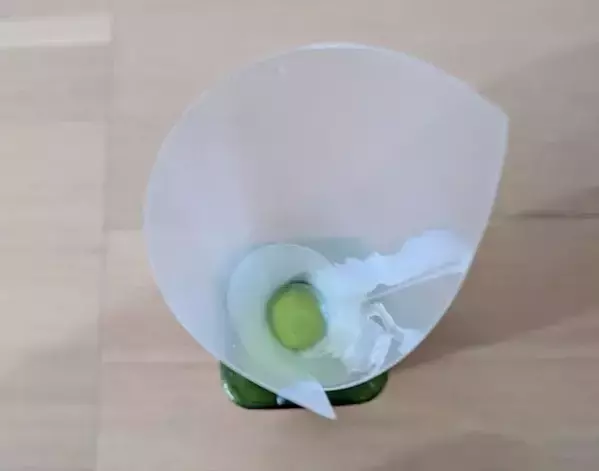 使い古したクリアファイルは捨てないで！　まさかの活用法に「手間が減った」「最高」