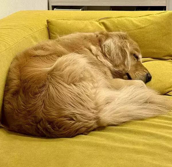 雨の中、荷物を届けた配達員が一言　玄関でのやり取りに「うらやましすぎる」「最高のエピソード」