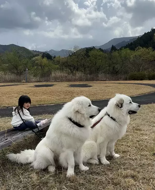 「帰るよ」と声をかけると？　3歳と2匹のリアクションに「笑った」「かわいすぎる」