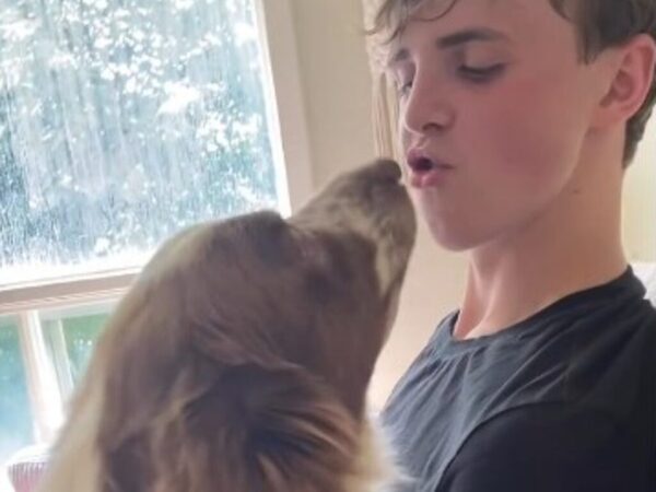 愛犬にそっとキスをしたら？　犬が見せた『リアクション』に「最高すぎる」「信じられない」