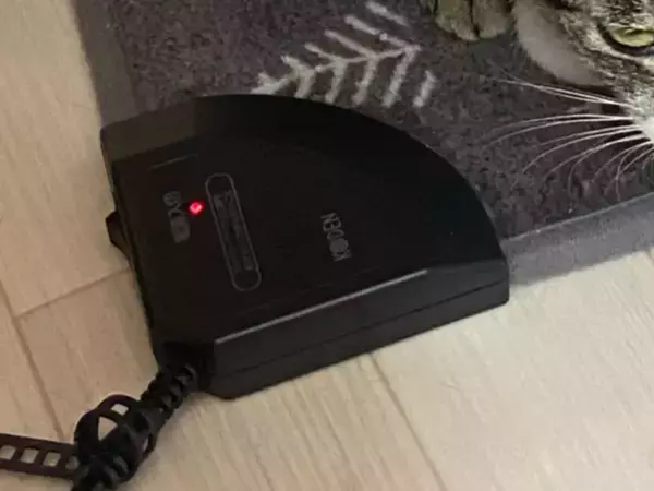 ホットカーペット片づけ会議　猫たちが出した結論に『でしょうね…』