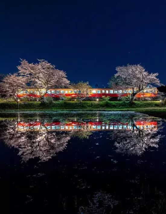 無人駅で撮られた夜桜と列車　水面に映る姿に「まるで銀河鉄道」「幻想的だ…」