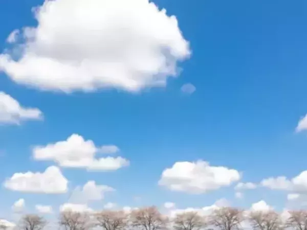 群馬の水郷で撮られた桜並木　水面の反射と赤い車に「グッジョブ」「完璧な構図」