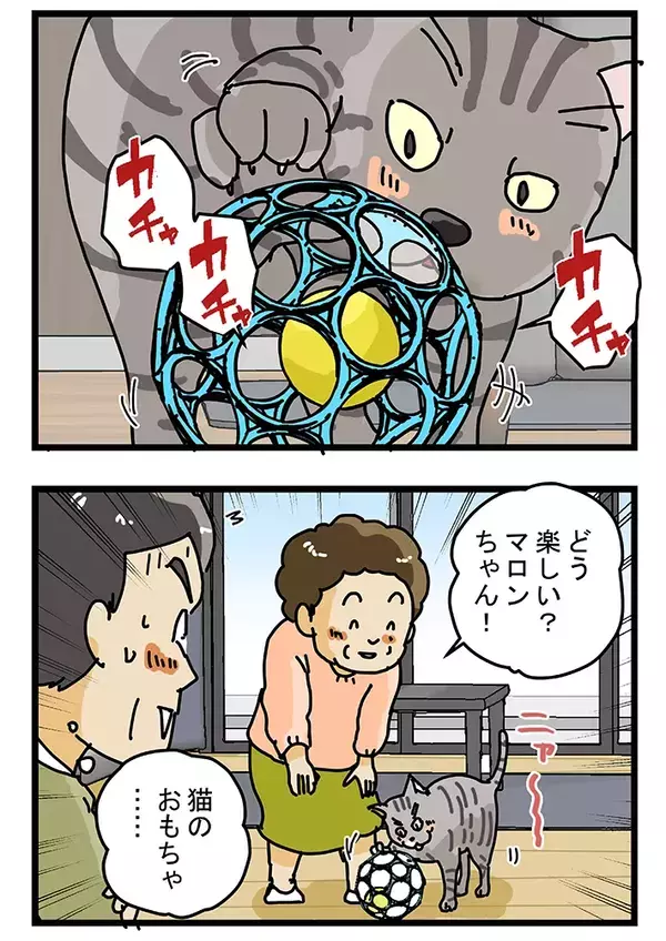 配達中のダンボールに違和感…　玄関先で封を開けると、猫が喜んだワケ【配達員マンガ】