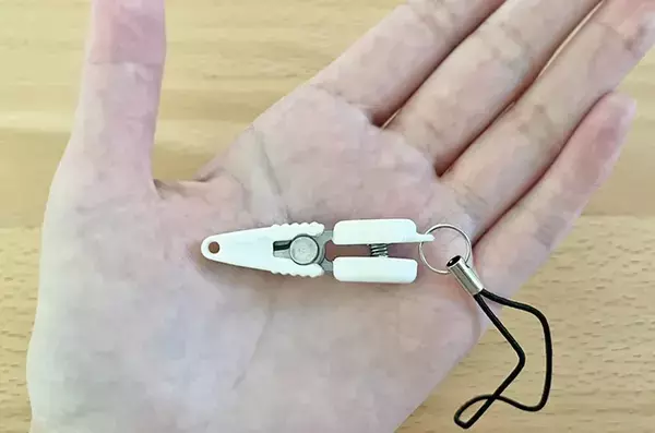 ダイソーで見つけた『謎のストラップ』　ポーチにつけておくだけで、外出中の“困った”が消えた！