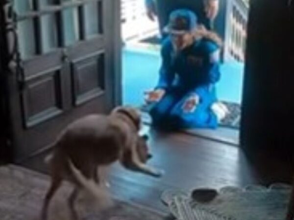 人類史上、最も遠くへ『出張』した飼い主　愛犬との再会動画が大反響「信じられないくらい最高」