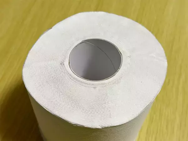 【30秒でできる】　トイレットペーパーから芯を抜く方法！　レジャーや避難用に便利