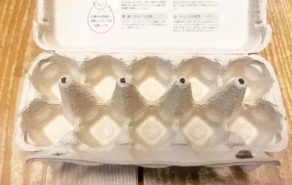空になった紙の卵パック　思わぬ活用法に「ジャストフィット」「ピッタリ入る」