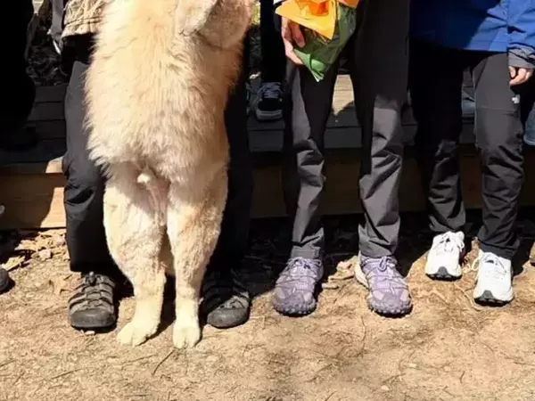 実家で撮影した記念写真　メンバーをよく見ると？「思わず拡大した」「自分も混ざりたい」