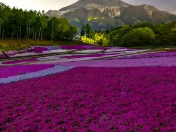曇り空の秩父、上空に現れたのは？　奇跡の1枚に「現実とは思えない」「溜息が出る」