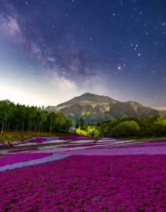 曇り空の秩父、上空に現れたのは？　奇跡の1枚に「現実とは思えない」「溜息が出る」