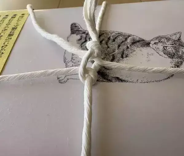 ビニールひもは十字に置いて！　本をガッチリ固定して『一発』でほどく方法に救われた