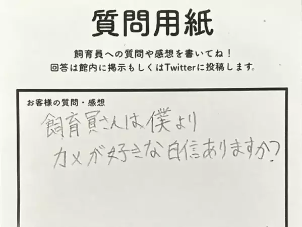 「僕よりカメが好き？」 子供の質問への飼育員の回答に「100点」「涙目になった」