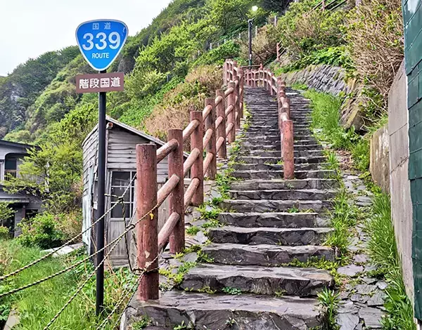 「絶望する人がいないか心配」　青い標識の先に広がっていた『まさかの光景』が…？