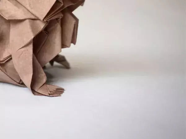 ハサミを使わず折られたニホンザル　衝撃のビジュアルに「切ってないの！？」「神業」