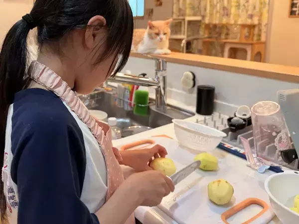 「包丁を使う時は猫の手やぞ」 母の日に料理をする女の子、手元をじっと見ていたのは？