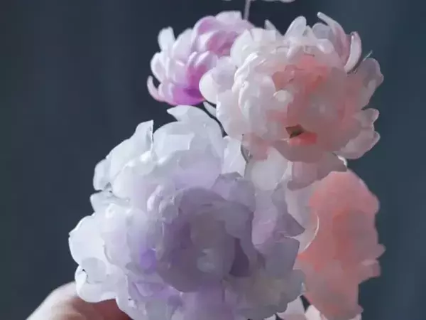 誰もが目を疑った『美しい花々』　まさかの正体に「信じられない」「もはや芸術」