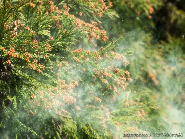 設置個所で5.8倍変わる！　ダイキンに聞いた、空気清浄機のベストポジション