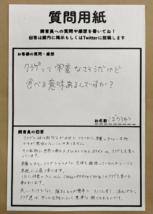 「カメはなぜクラゲを食べるの？」　飼育員の回答に驚き「お米と同じか」「誰かに言いたくなる」