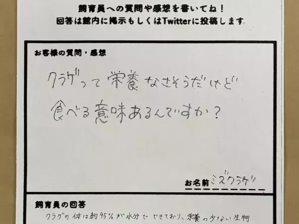 「カメはなぜクラゲを食べるの？」　飼育員の回答に驚き「お米と同じか」「誰かに言いたくなる」