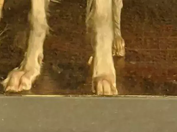 「完全にだまされた！」油絵にしか見えない愛犬の写真　奇跡の1枚が生まれた理由とは